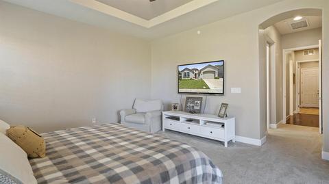1079 Harvest Mill Dr, Manteca, CA 95336 photo 33