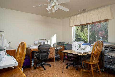 13886 Druid Ln, Pine Grove, CA 95665 photo 22