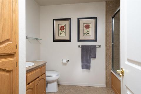 13886 Druid Ln, Pine Grove, CA 95665 photo 23