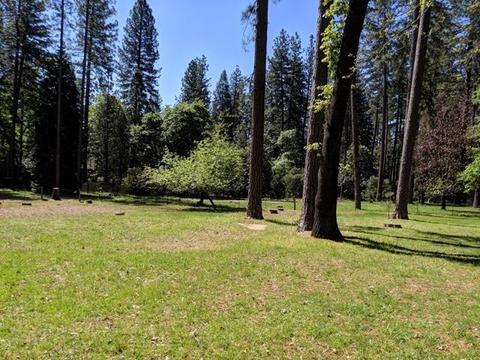 5762 Silverleaf Dr, Foresthill, CA 95631 photo 7