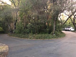 3195 Brennans Rd, Loomis, CA 95650 photo 6