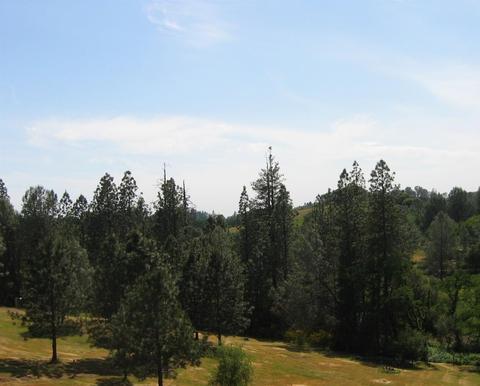 2392 Willow Creek Ct, Cool, CA 95614 photo 38