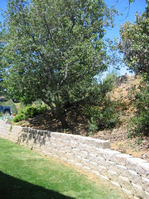 2392 Willow Creek Ct, Cool, CA 95614 photo 28