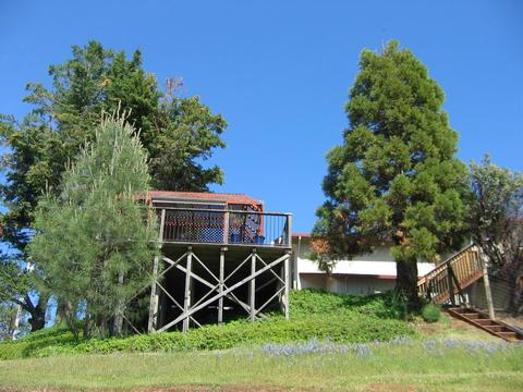 2392 Willow Creek Ct, Cool, CA 95614 photo 27
