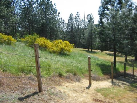 2392 Willow Creek Ct, Cool, CA 95614 photo 36