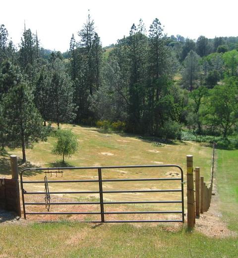 2392 Willow Creek Ct, Cool, CA 95614 photo 39