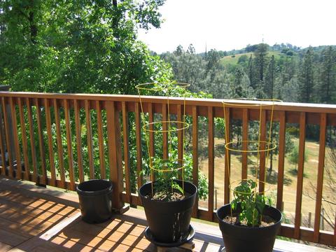 2392 Willow Creek Ct, Cool, CA 95614 photo 25