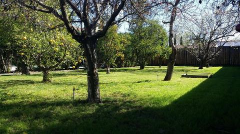 500 W Schulte Rd, Tracy, CA 95376 photo 39