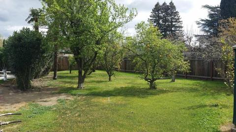 500 W Schulte Rd, Tracy, CA 95376 photo 42