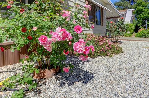 56 Primrose Ln, Grass Valley, CA 95945 photo 27