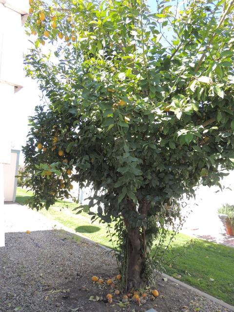 1200 Carpenter Rd #32, Modesto, CA 95351 photo 17