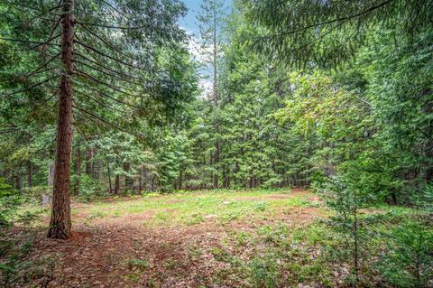 33175 Ridge Rd, Dutch Flat, CA 95714 photo 53
