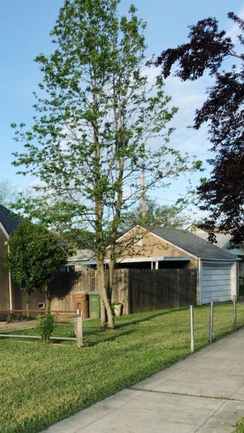 603 S School St, Lodi, CA 95240 photo 3