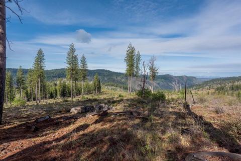 7401 Spring Valley Rd, Pollock Pines, CA 95726 photo 47