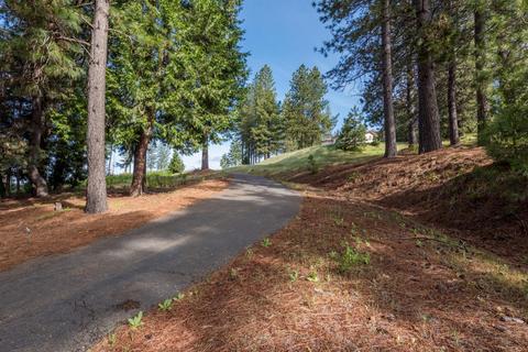 7401 Spring Valley Rd, Pollock Pines, CA 95726 photo 45