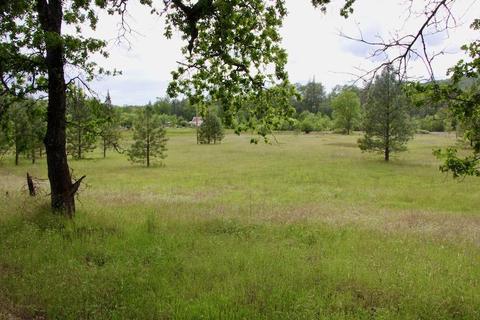 15032 Williams Rd, Dobbins, CA 95935 photo 6