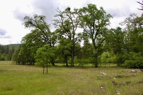 15032 Williams Rd, Dobbins, CA 95935 photo 5