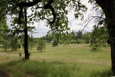 15032 Williams Rd, Dobbins, CA 95935 photo 4