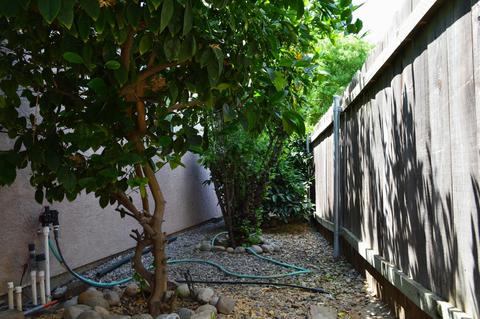 2713 Melanie Ct, Ceres, CA 95307 photo 34