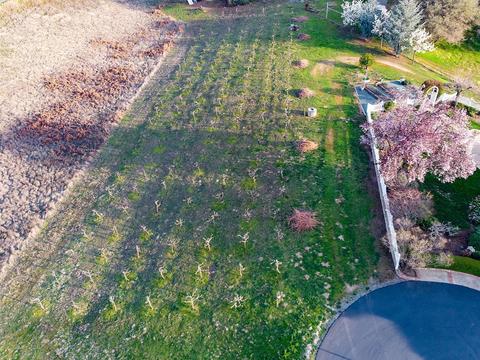 13480 Shake Ridge Rd, Sutter Creek, CA 95685 photo 43