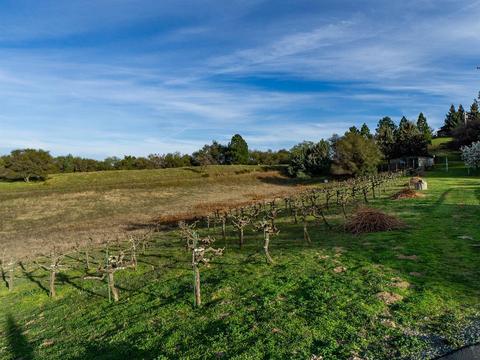 13480 Shake Ridge Rd, Sutter Creek, CA 95685 photo 28