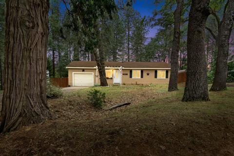 19551 Mella Dr, Volcano, CA 95689 photo 1