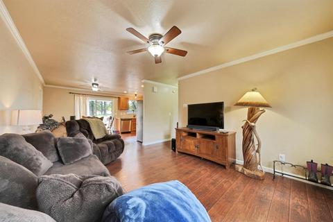 19551 Mella Dr, Volcano, CA 95689 photo 4