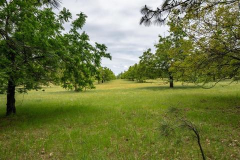19551 Mella Dr, Volcano, CA 95689 photo 22