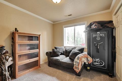 19551 Mella Dr, Volcano, CA 95689 photo 14