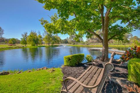 444 Reams Rd, Newcastle, CA 95658 photo 52