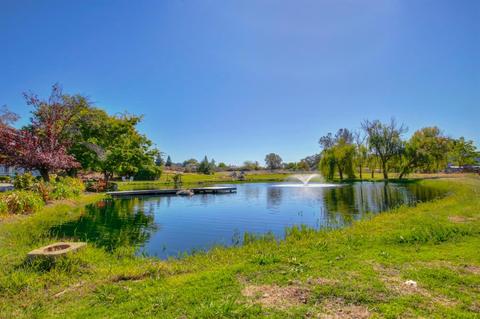 444 Reams Rd, Newcastle, CA 95658 photo 44