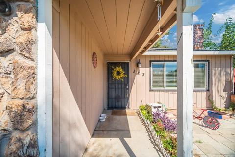 323 Camish Pl, Lathrop, CA 95330 photo 20