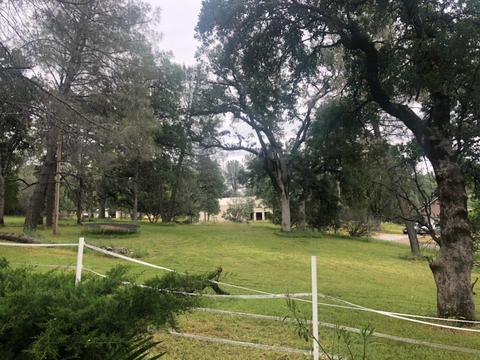 2401 Swansboro, Placerville, CA 95667 photo 29