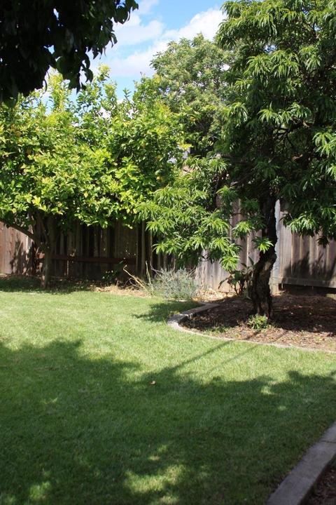 1806 Pomona Dr, Davis, CA 95616 photo 48