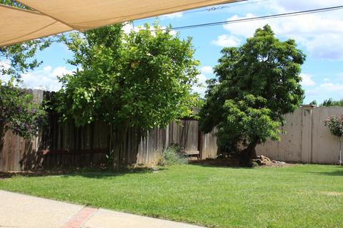1806 Pomona Dr, Davis, CA 95616 photo 44