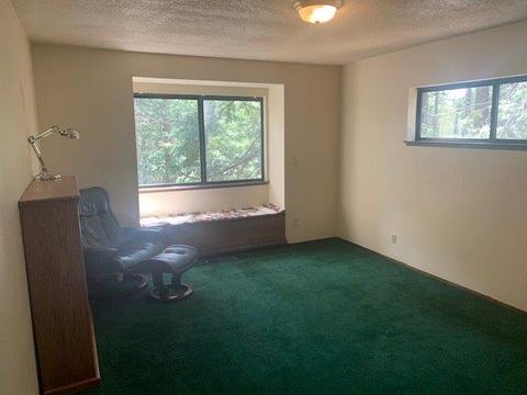 3958 Opal Trl, Pollock Pines, CA 95726 photo 15