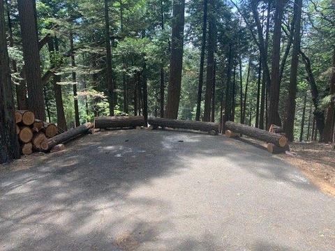 3958 Opal Trl, Pollock Pines, CA 95726 photo 5