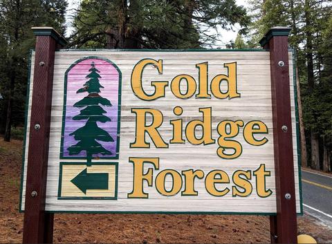 3958 Opal Trl, Pollock Pines, CA 95726 photo 37