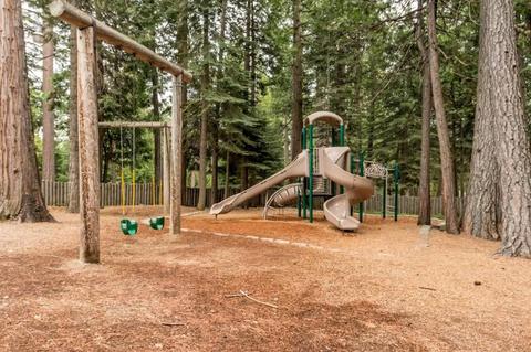 3958 Opal Trl, Pollock Pines, CA 95726 photo 42