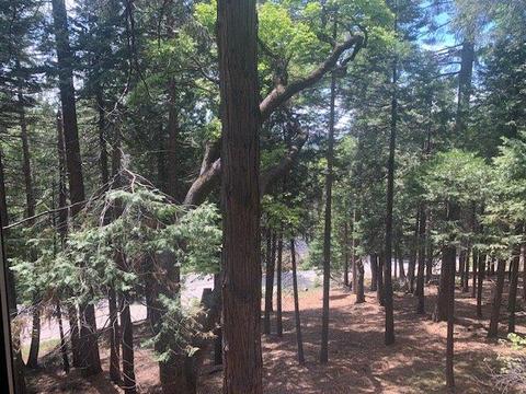 3958 Opal Trl, Pollock Pines, CA 95726 photo 21