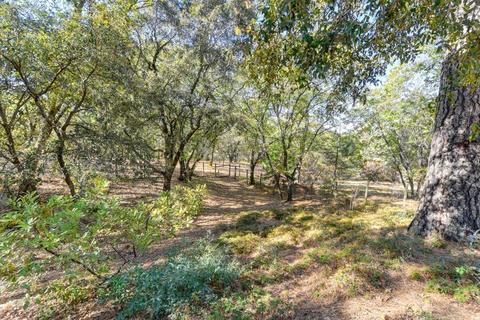 765 Coyote Hill Rd, Colfax, CA 95713 photo 68