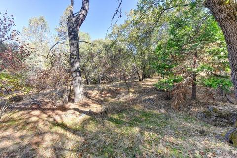 765 Coyote Hill Rd, Colfax, CA 95713 photo 67
