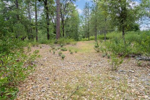 17081 Rams Horn Grade, Volcano, CA 95689 photo 33