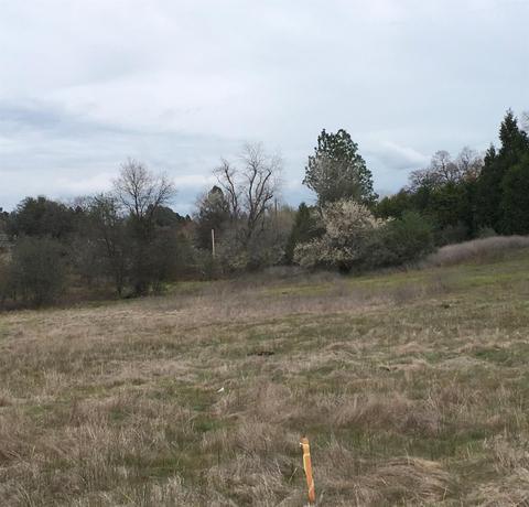 2141 Ranch Creek Rd, Cool, CA 95614 photo 2