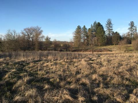 2141 Ranch Creek Rd, Cool, CA 95614 photo 3