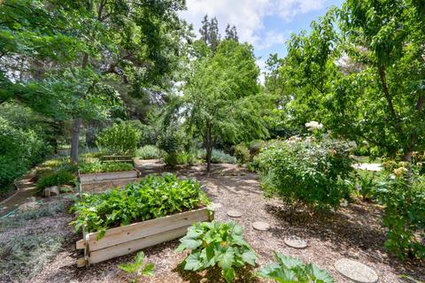 24319 Fairway Dr, Davis, CA 95616 photo 49