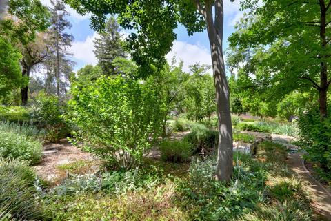 24319 Fairway Dr, Davis, CA 95616 photo 46