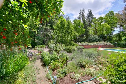 24319 Fairway Dr, Davis, CA 95616 photo 51
