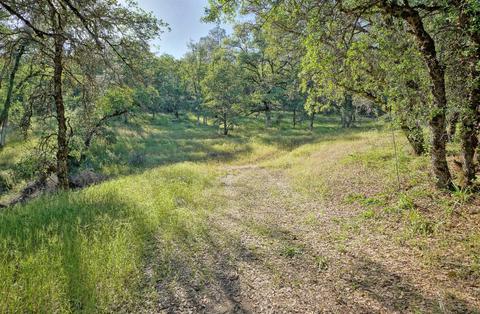 3450 Big Barn Rd, Placerville, CA 95667 photo 36