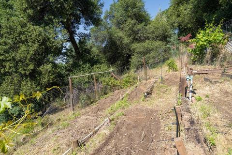 2500 Augustine Ln, Placerville, CA 95667 photo 22